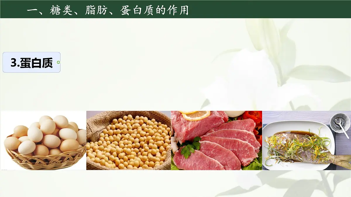 初中生物人教版（2024）七年级下册4.2.1 食物中的营养物质 课件第5页