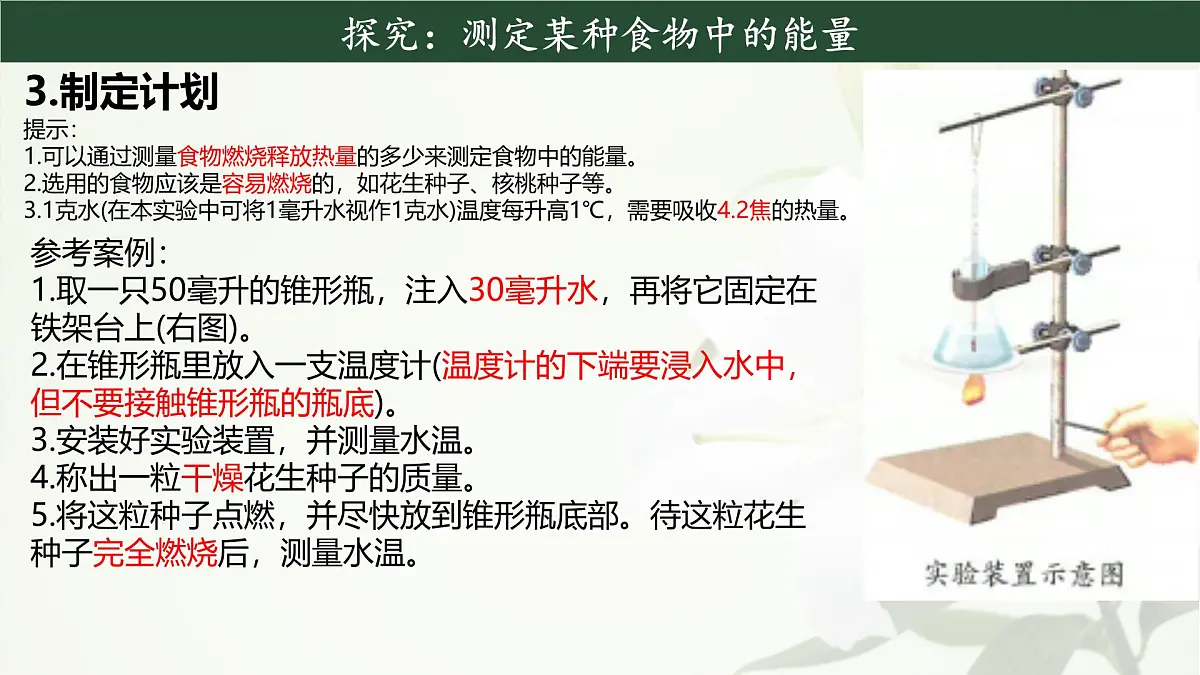 初中生物人教版（2024）七年级下册4.2.1 食物中的营养物质 课件第7页