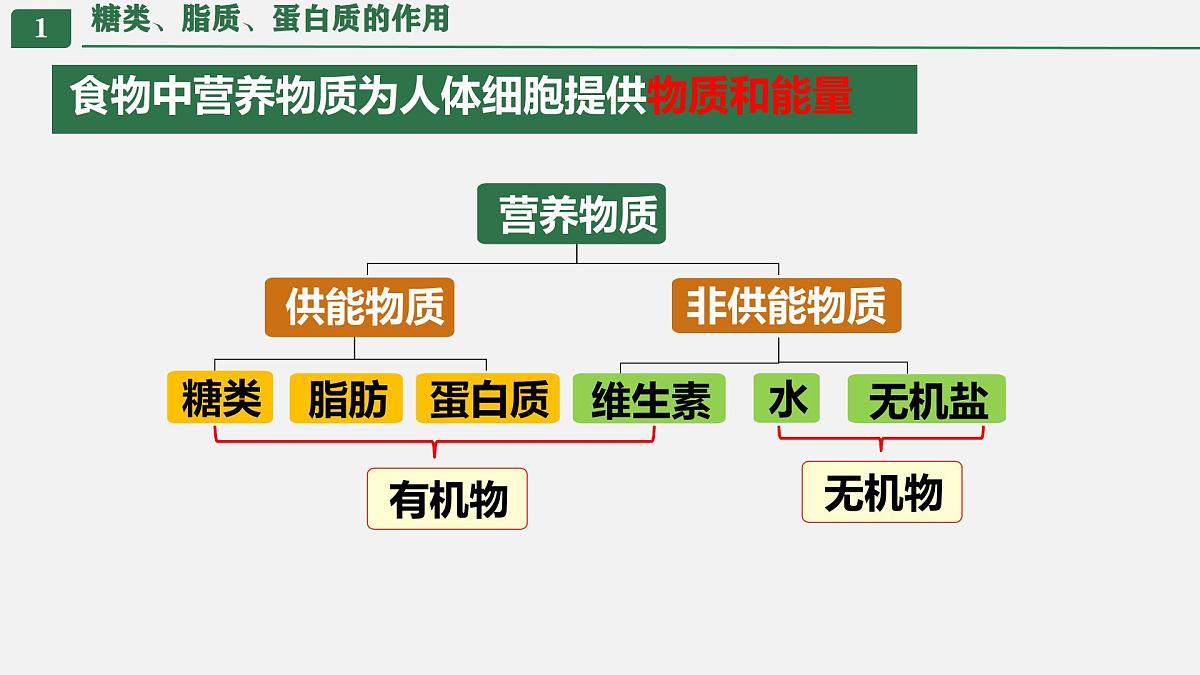 初中生物人教版（2024）七年级下册4.2.1 食物中的营养物质 课件第3页