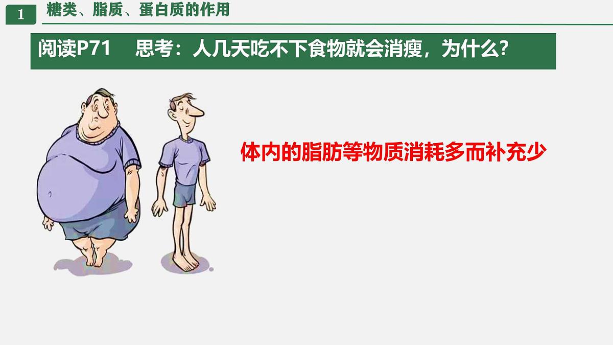 初中生物人教版（2024）七年级下册4.2.1 食物中的营养物质 课件第6页