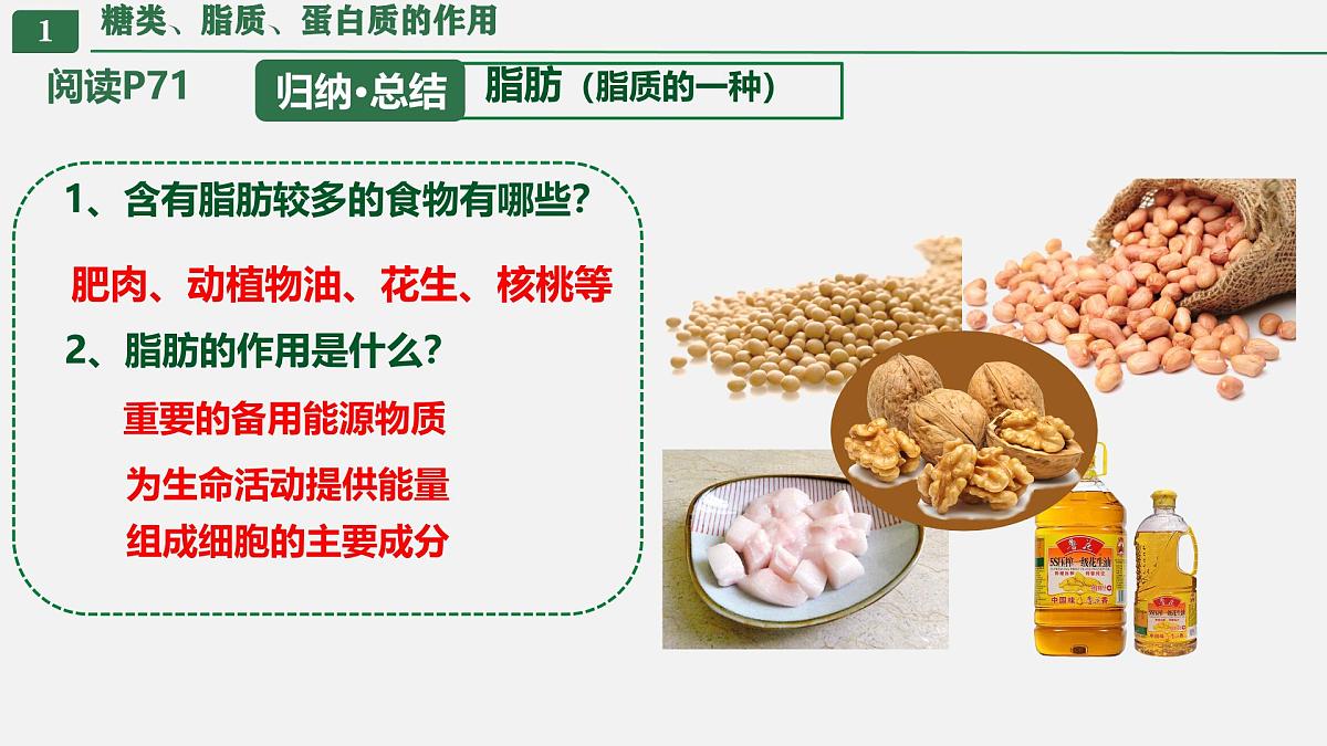 初中生物人教版（2024）七年级下册4.2.1 食物中的营养物质 课件第7页