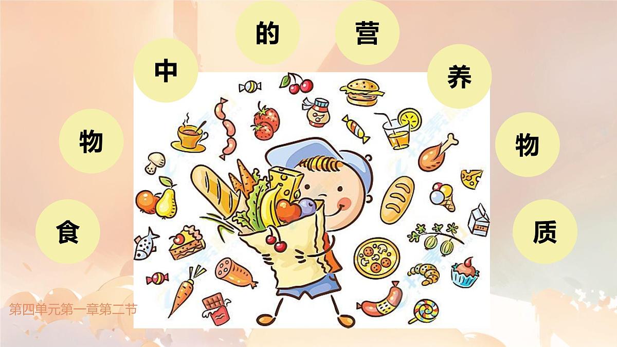 初中生物人教版（2024）七年级下册4.2.1 食物中的营养物质 课件第1页