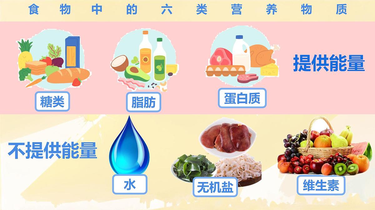 初中生物人教版（2024）七年级下册4.2.1 食物中的营养物质 课件第3页