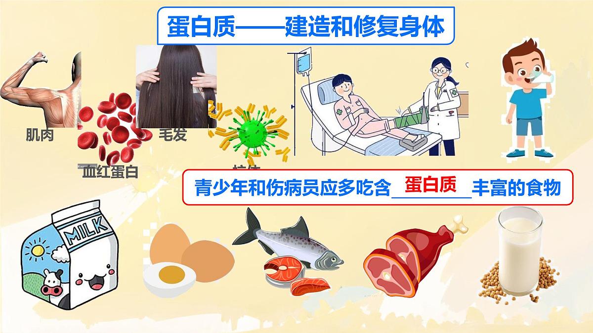 初中生物人教版（2024）七年级下册4.2.1 食物中的营养物质 课件第6页