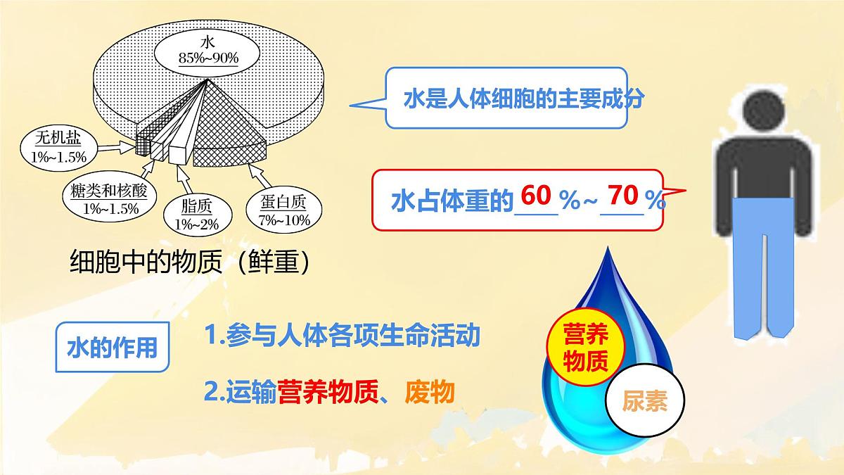 初中生物人教版（2024）七年级下册4.2.1 食物中的营养物质 课件第8页