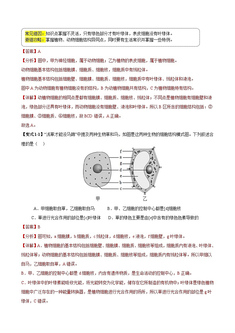 备战2025年中考生物考试易错题（全国通用）易错点04细胞生命活动基本单位(4大陷阱+4点提醒)(教师版)第3页