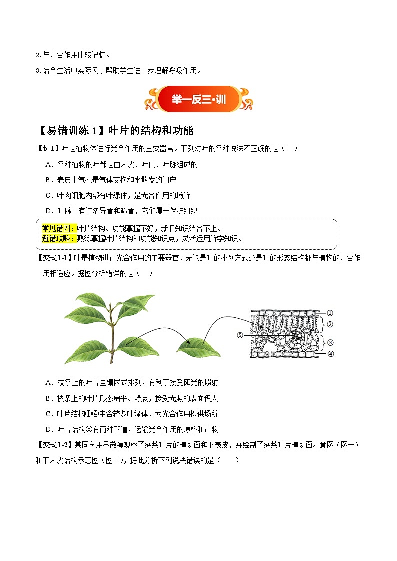 备战2025年中考生物考试易错题（全国通用）易错点08绿色植物三大生理活动(4大陷阱+4点提醒)(学生版)第3页