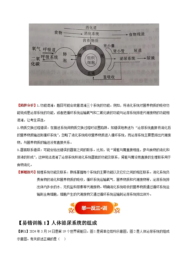 备战2025年中考生物考试易错题（全国通用）易错点12人体代谢废物的排出(4大陷阱+4点提醒)(教师版)第3页