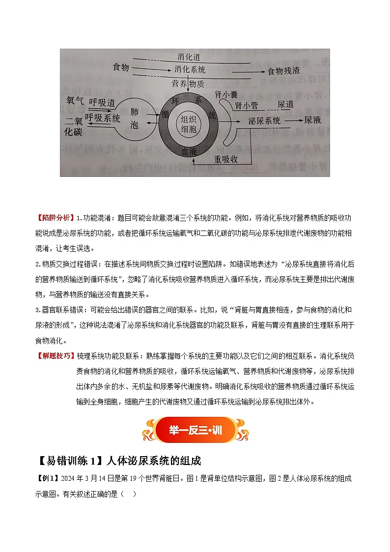 备战2025年中考生物考试易错题（全国通用）易错点12人体代谢废物的排出(4大陷阱+4点提醒)(学生版)第3页