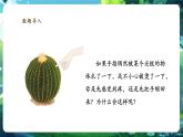 【新教材核心素養(yǎng)】北師大版生物七年級下冊 4.10.1.2神經系統(tǒng)與神經調節(jié)（第2課時）（課件+單元教學設計+教案+思維導圖）