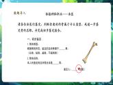 【新教材核心素養(yǎng)】北師大版生物七年級下冊 4.11.1.1人體的骨骼（第1課時）（課件+單元教學設(shè)計+教案+思維導圖）