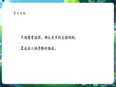 【新教材核心素養(yǎng)】北師大版生物七年級下冊 4.11.1.2人體的骨骼（第2課時）（課件+單元教學設(shè)計+教案+思維導圖）