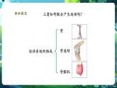 【新教材核心素養(yǎng)】北師大版生物七年級下冊 4.11.3運動的形成（課件+單元教學設(shè)計+教案+思維導圖）