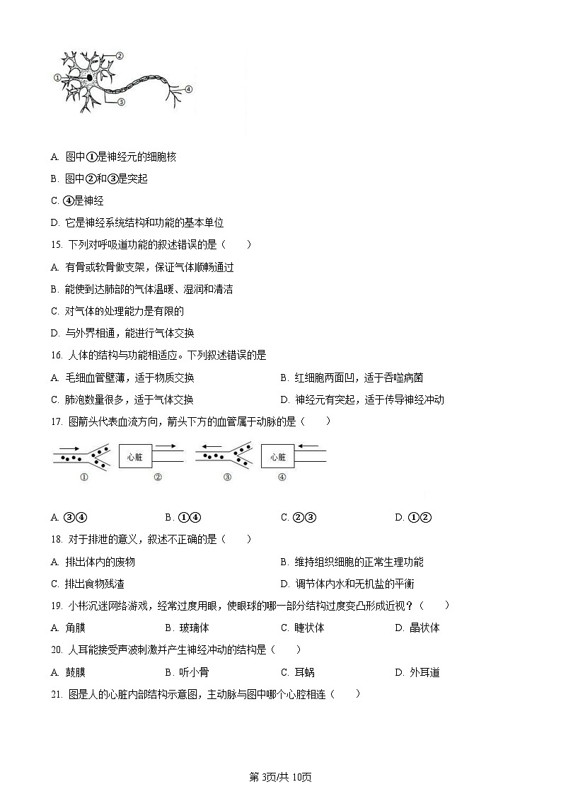 广东省广州市番禺区2021-2022学年七年级下学期期末生物试题（含答案）第3页