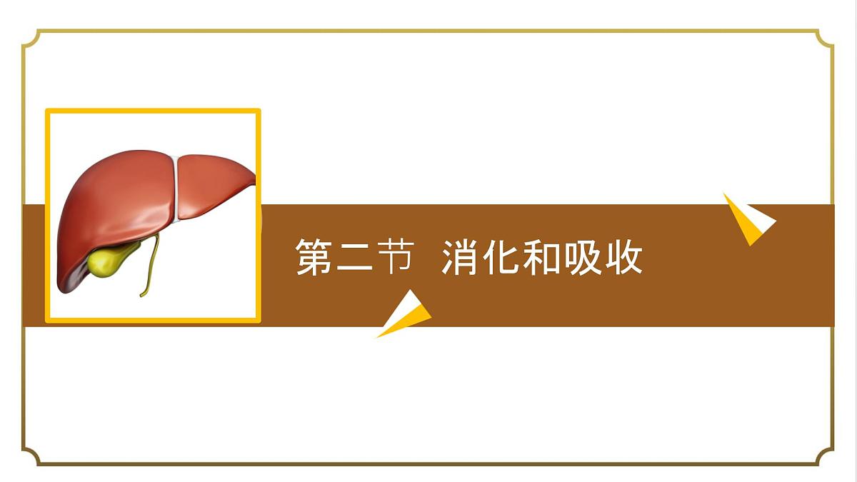 初中生物人教版（2024）七年级下册4.2.2 消化和吸收 课件第1页