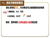 初中生物人教版（2024）七年級下冊4.2.2 消化和吸收 課件