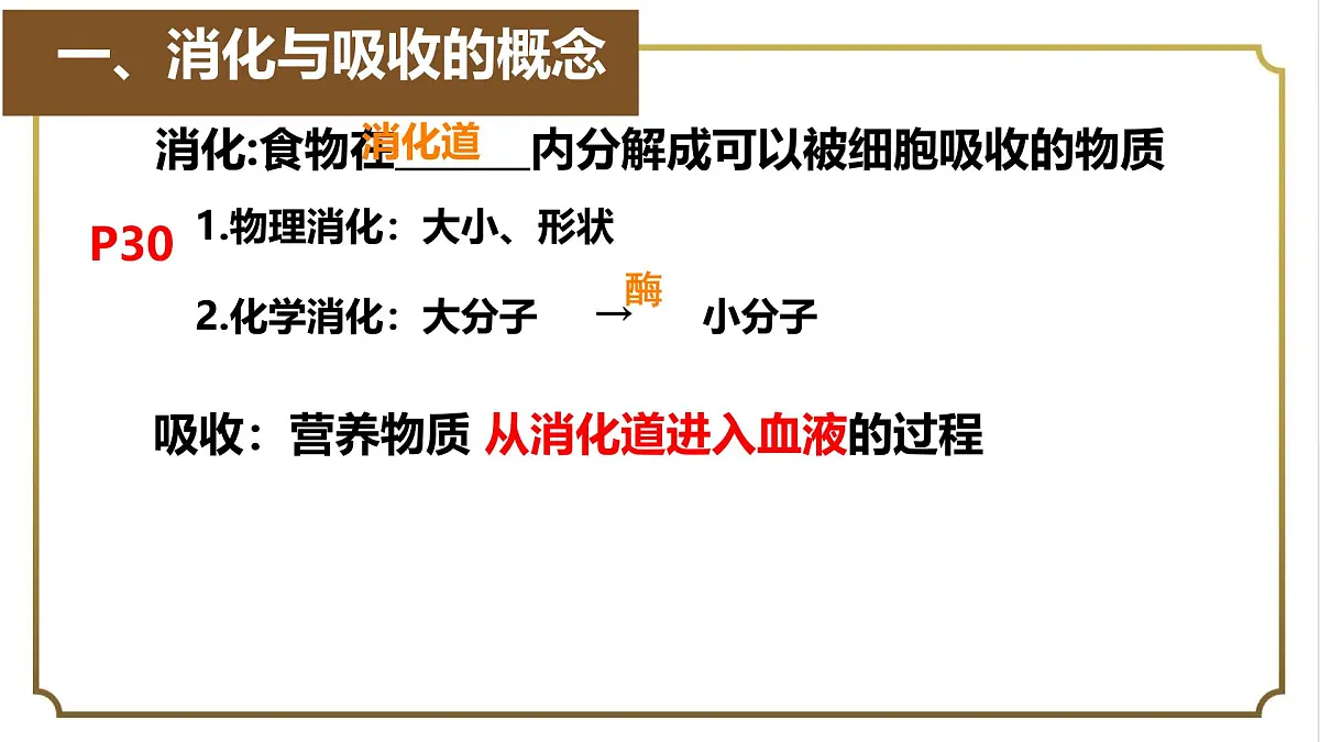初中生物人教版（2024）七年级下册4.2.2 消化和吸收 课件第2页