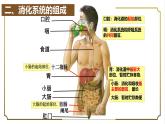 初中生物人教版（2024）七年級下冊4.2.2 消化和吸收 課件