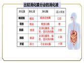 初中生物人教版（2024）七年級下冊4.2.2 消化和吸收 課件