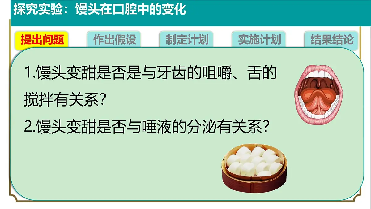 初中生物人教版（2024）七年级下册4.2.2 消化和吸收 课件第7页