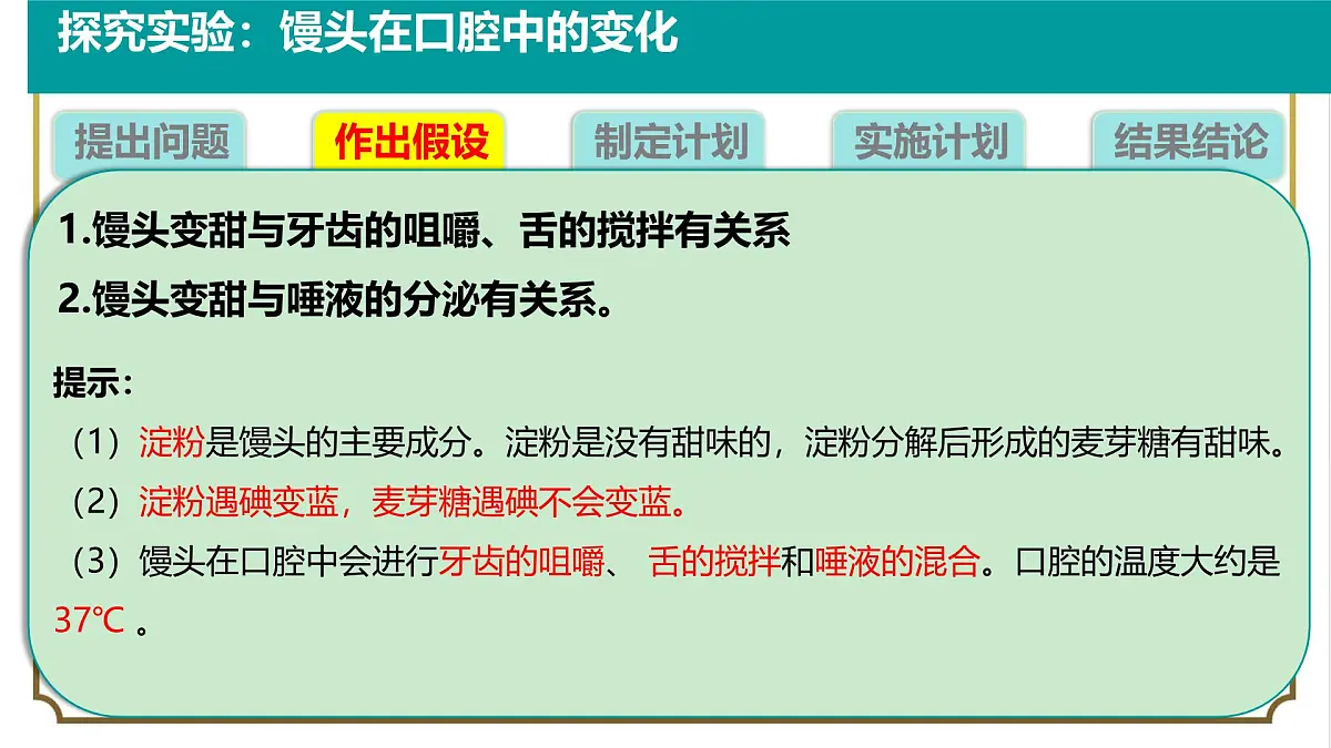 初中生物人教版（2024）七年级下册4.2.2 消化和吸收 课件第8页
