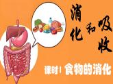 初中生物人教版（2024）七年級下冊4.2.2 消化和吸收 課件