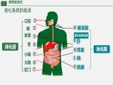 初中生物人教版（2024）七年級下冊4.2.2 消化和吸收 課件