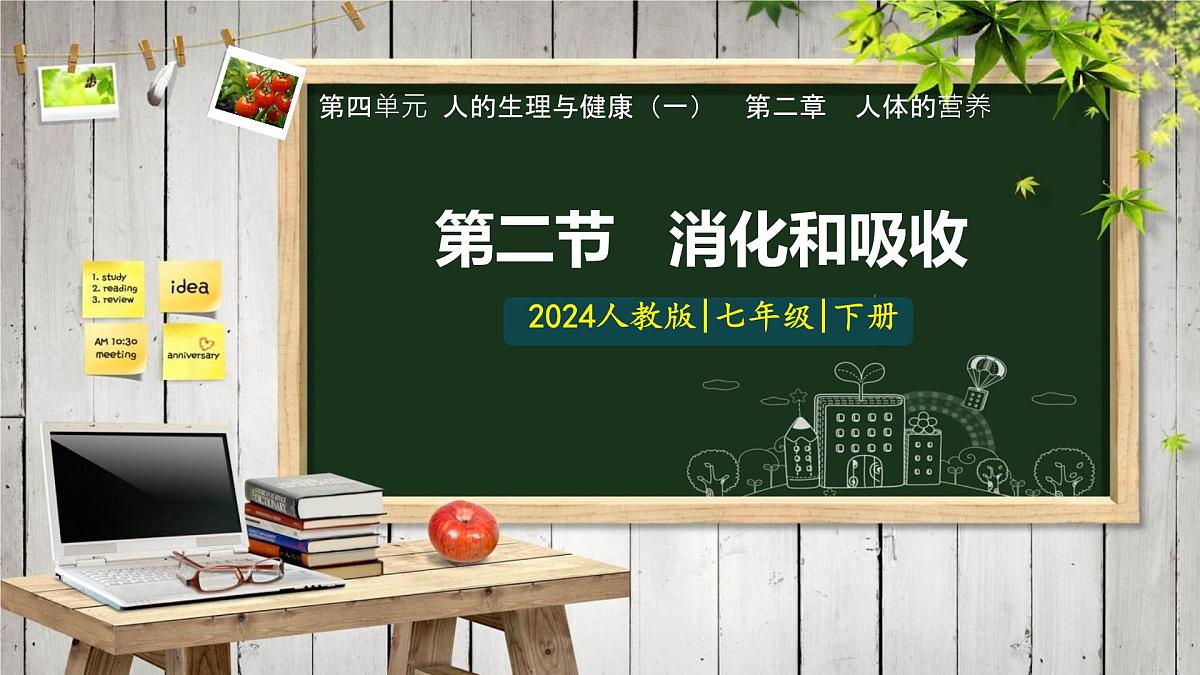 初中生物人教版（2024）七年级下册4.2.2 消化和吸收 课件第1页