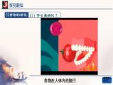 初中生物人教版（2024）七年級下冊4.2.2 消化和吸收 課件