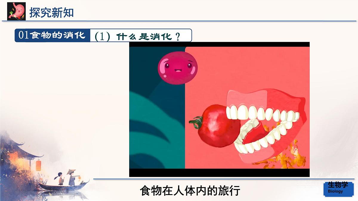 初中生物人教版（2024）七年级下册4.2.2 消化和吸收 课件第4页