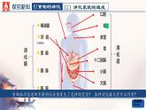 初中生物人教版（2024）七年級下冊4.2.2 消化和吸收 課件