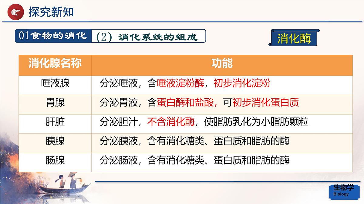 初中生物人教版（2024）七年级下册4.2.2 消化和吸收 课件第6页