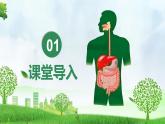 初中生物人教版（2024）七年級下冊4.2.2 消化和吸收 課件