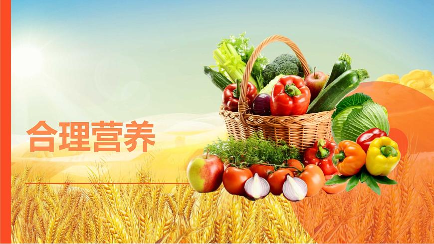 初中生物人教版（2024）七年级下册4.2.3 合理营养与食品安全 课件第4页
