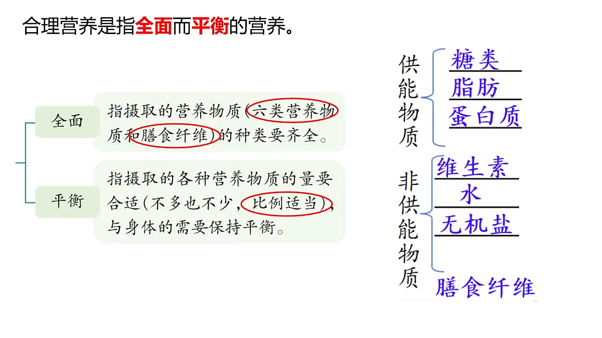初中生物人教版（2024）七年级下册4.2.3 合理营养与食品安全 课件第4页