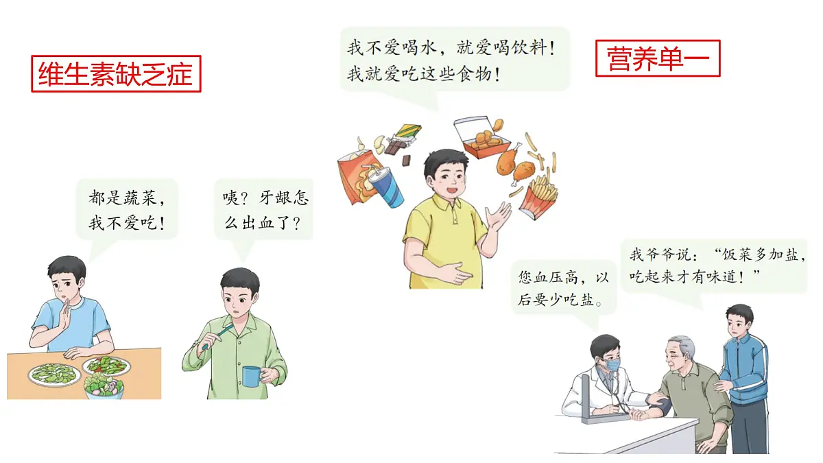 初中生物人教版（2024）七年级下册4.2.3 合理营养与食品安全 课件第5页