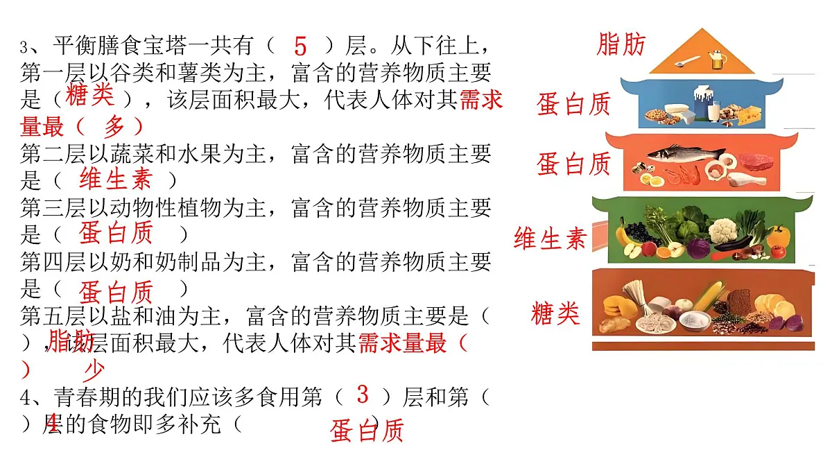 初中生物人教版（2024）七年级下册4.2.3 合理营养与食品安全 课件第5页