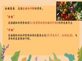 初中生物人教版（2024）七年級下冊4.2.3 合理營養(yǎng)與食品安全 課件