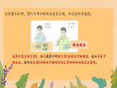 初中生物人教版（2024）七年級下冊4.2.3 合理營養(yǎng)與食品安全 課件