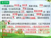 初中生物人教版（2024）七年級下冊4.2.3 合理營養(yǎng)與食品安全 課件
