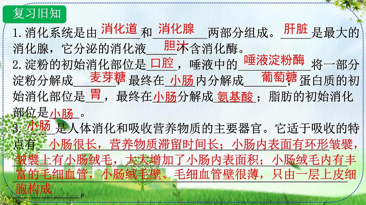 初中生物人教版（2024）七年级下册4.2.3 合理营养与食品安全 课件第2页