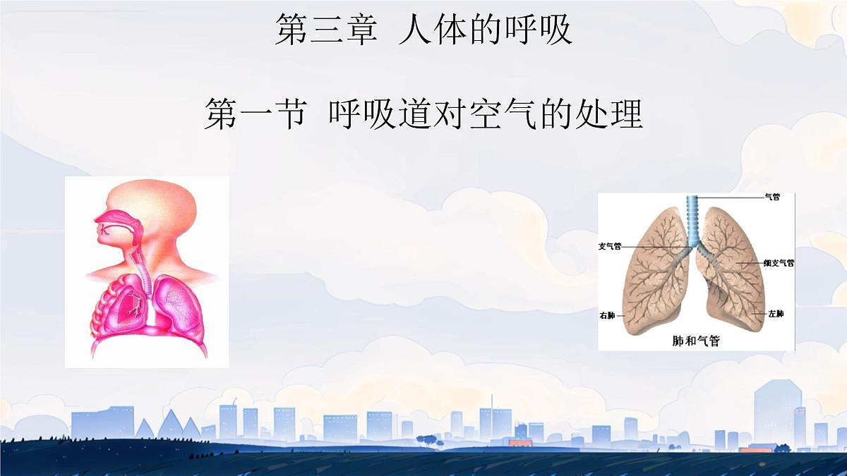初中生物人教版（2024）七年级下册4.3.1 呼吸道对空气的处理 课件第1页