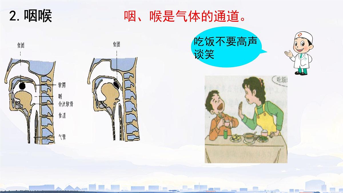 初中生物人教版（2024）七年级下册4.3.1 呼吸道对空气的处理 课件第7页