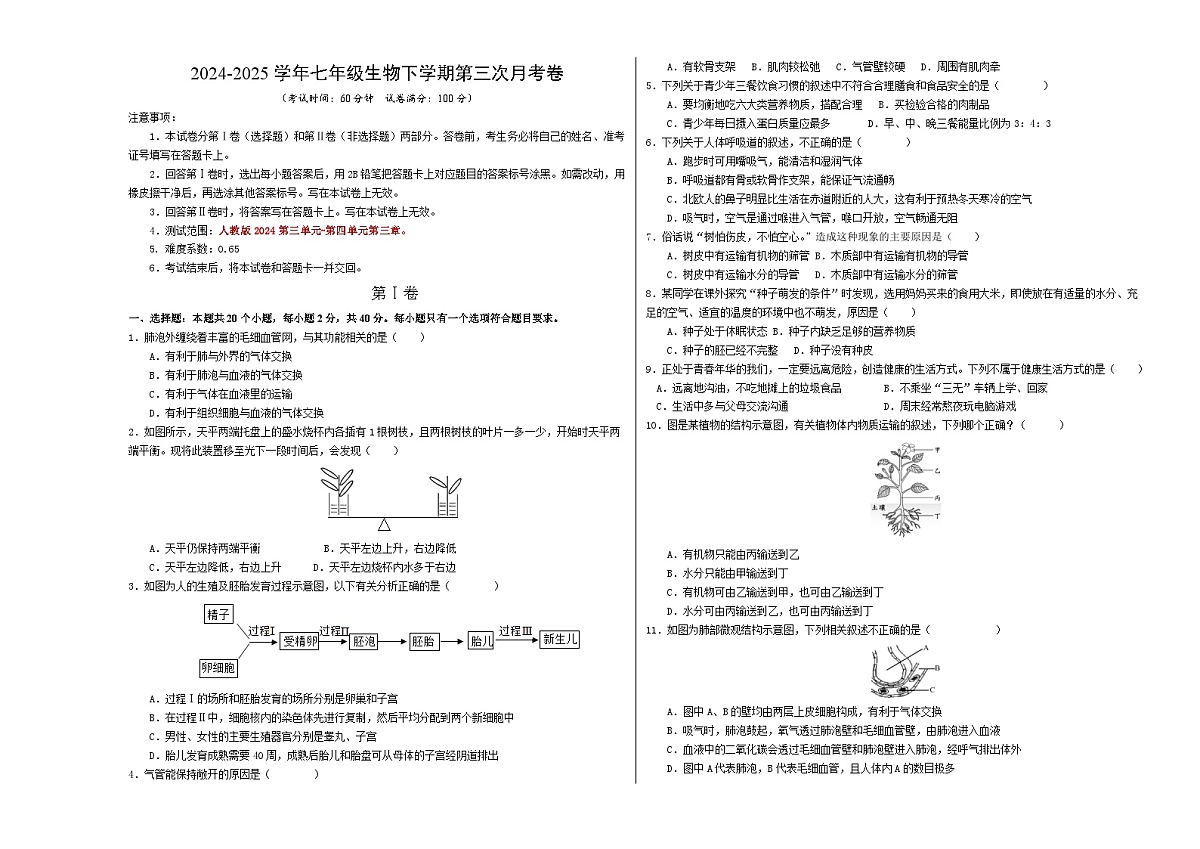 七年级生物月考卷01【测试范围：第三单元~第四单元第三章】（考试版A3）（人教版2024）第1页