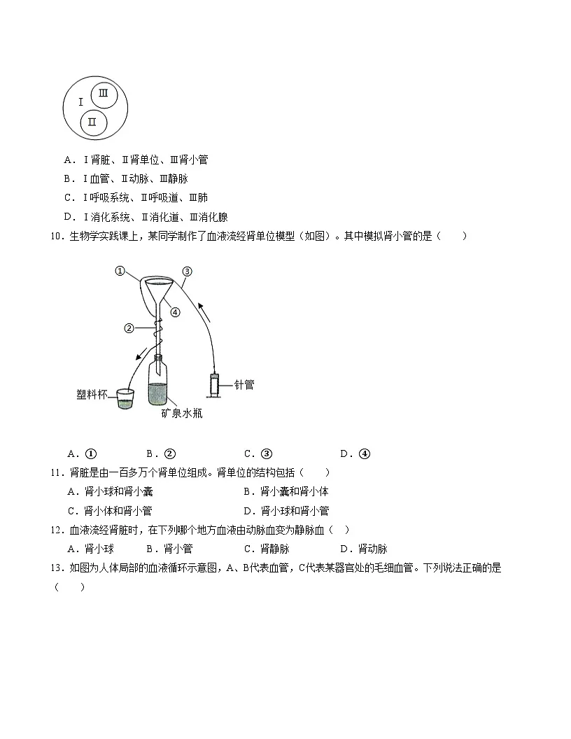 七年级生物月考卷【测试范围：冀少版2024第一章~第五章第三节】（考试版）第3页