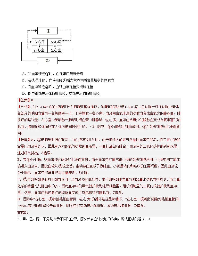 七年级生物月考卷（全解全析）第3页