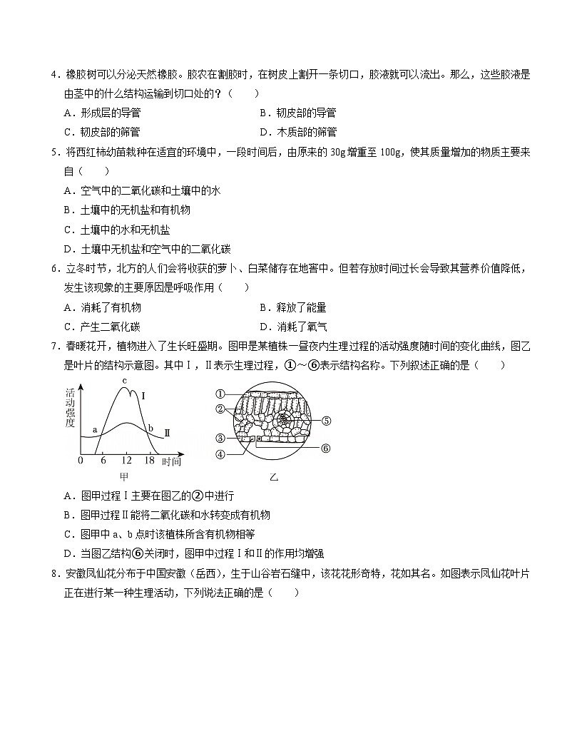 七年级生物月考卷【测试范围：人教版2024第三单元~第四单元第三章】（考试版）（安徽专用）第2页