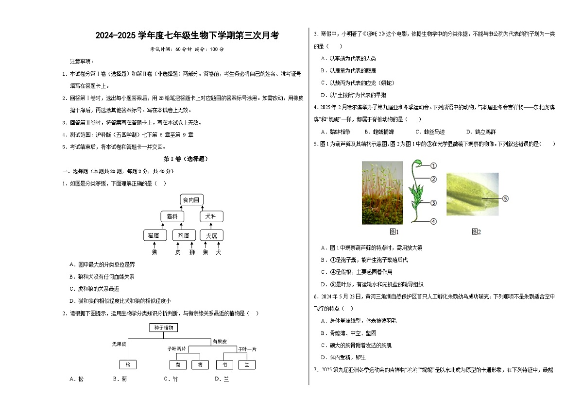 七年级生物月考卷（考试版A3）（上海专用，沪教版2024第6~9章）第1页