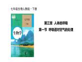 初中生物人教版（2024）七年級(jí)下冊(cè)4.3.1 呼吸道對(duì)空氣的處理 課件