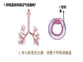 初中生物人教版（2024）七年級(jí)下冊(cè)4.3.1 呼吸道對(duì)空氣的處理 課件